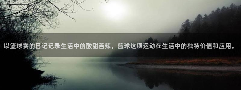 以篮球赛的日记记录生活中的酸甜苦辣，