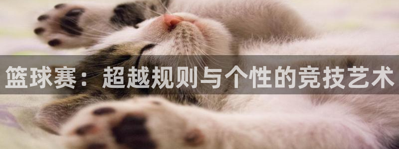 篮球赛：超越规则与个性的竞技艺术