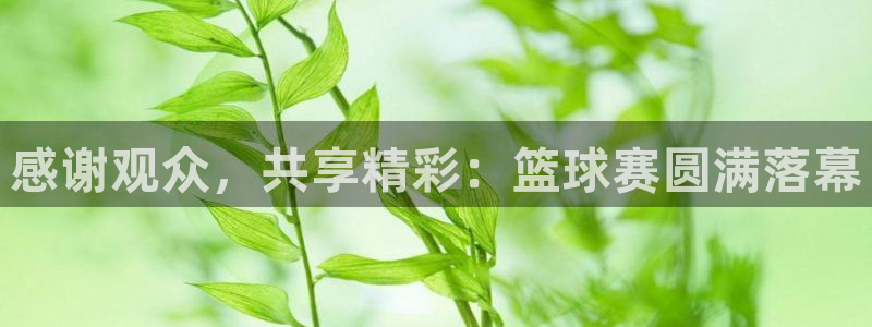  感谢观众，共享精彩：篮球赛圆满落幕