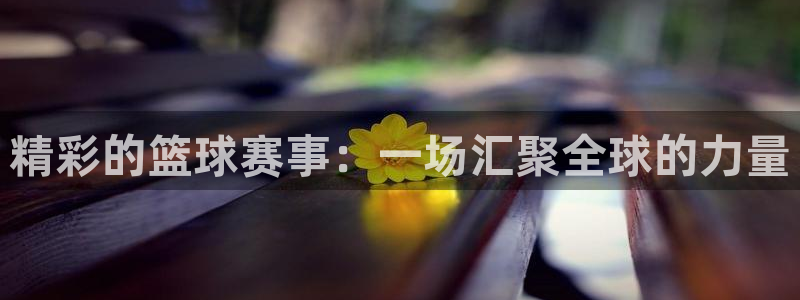  yy易游体育安全吗：精彩的篮球赛事：一场汇聚全球的力量