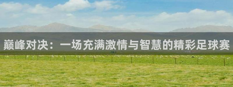 易游手游平台：巅峰对决：一场充满激情