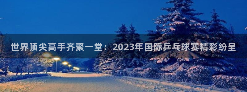 易游体育app下载安装最新版：世界顶尖高手齐聚一堂：2023