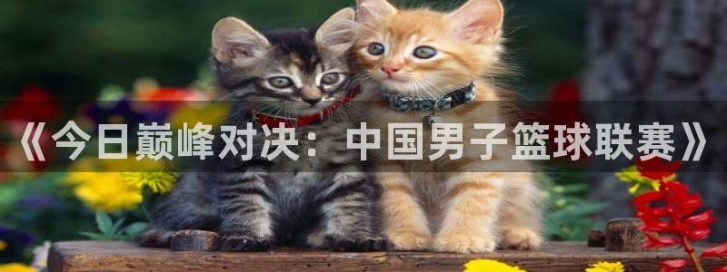 易游安卓app：《今日巅峰对决：中国