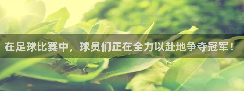 易游体育官网登录入口网址是多少：在足球比赛中，球员们正在全力