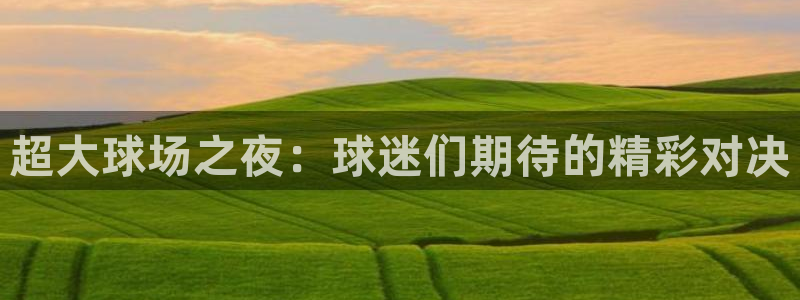  易游交易平台官网：超大球场之夜：球迷们期待的精彩对决