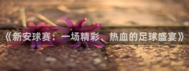 易游体育官网下载安装手机版：《新安球