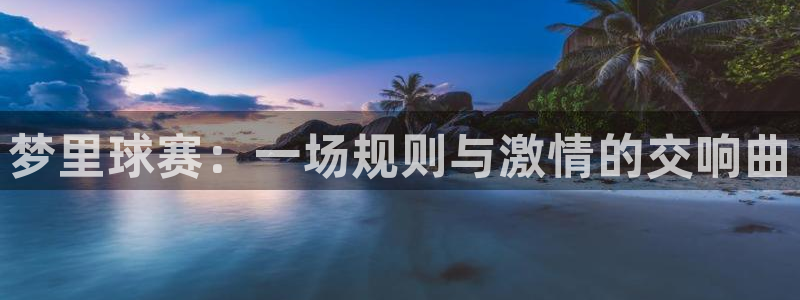 易游app官方下载安装最新版：梦里球赛：一场规则与激情的交响