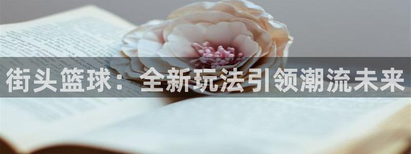  易游api：街头篮球：全新玩法引领潮流未来