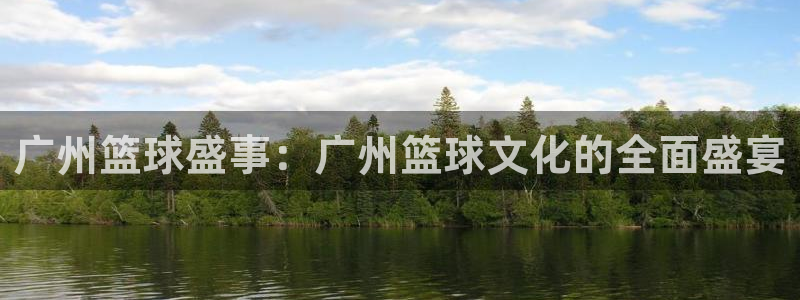  易游体育菲戈加内特怎么样：广州篮球盛事：广州篮球文化的全面盛