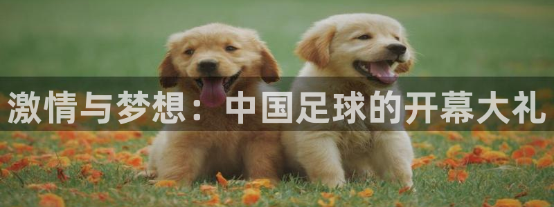 yy易游体育安全吗可信吗：激情与梦想