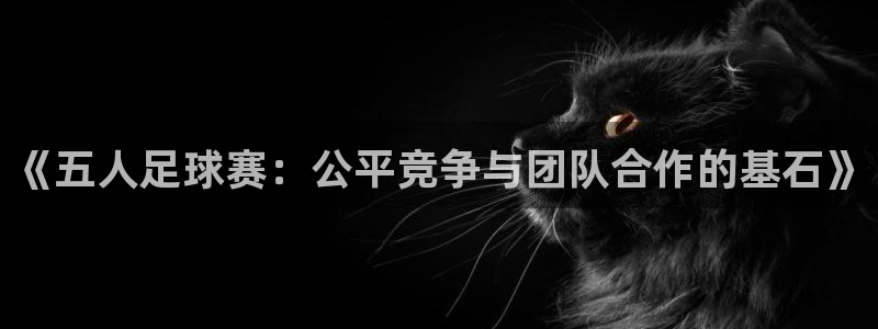 易游商城百度百科：《五人足球赛：公平