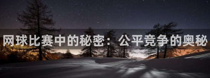  yy易游体育贴吧：网球比赛中的秘密：公平竞争的奥秘