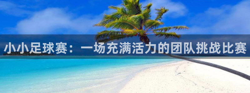 易游体育官网下载安装最新版：小小足球